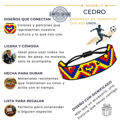 CEDRO